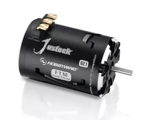 Hobbywing Xerun Justock 17 Turn G2.1 Motor 2200kV für 1:10 Stock - HW30408011 - Bild 1 von 2