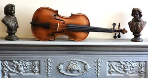 Violine 4/4 Stainer Top Zustand 1885-90 - Bild 1 von 9