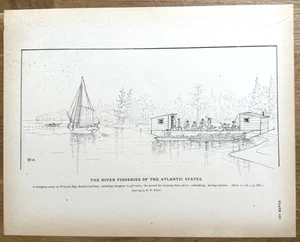 Antiguo estampado de pesca Sturgeon Camp on Winyah Bay Carolina del Sur 1887 - Imagen 1 de 14