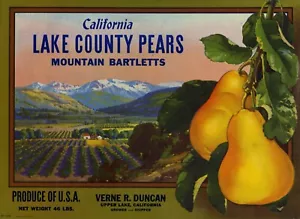 Etichetta cassa pere marca Lake County Pears Verne R. Duncan - Upper Lake California - Foto 1 di 1