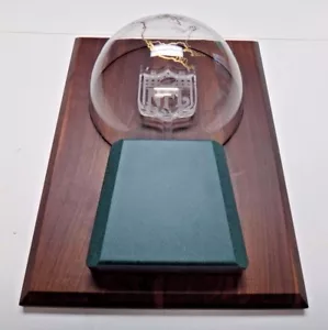 Super seltene Aquarium Schüssel NFL Trophy Award 100 % Original - Bild 1 von 6