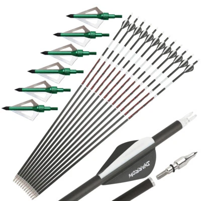 31" Noctilucent Archery Carbon Arrows Feathers Tips Recurve Compound Bow Hunting - Image 1 of 4