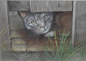 original drawing A3 29MdA artwork colored pencil modern cat - Picture 1 of 1