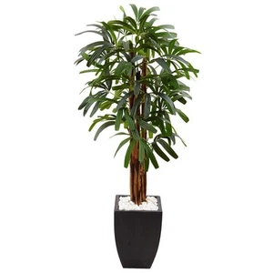 Indoor Raphis Palm Artificial Tree in Black Planter - Picture 1 of 5