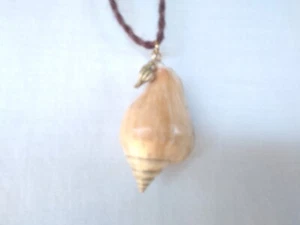 Boho Seashell Pendant Necklace 24" Women's Jewelry USA Seller Gift - Picture 1 of 8