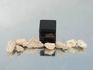 NWA 16520, Lunar (frag. Brekzie) 1g Konvolut 9 Meteoriten wie Fund vergrabene Proben - Bild 1 von 9