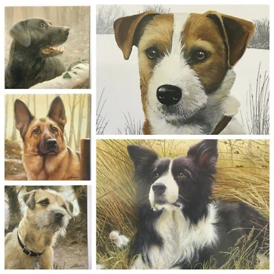 QUAYSIDE CARDS birthday card from the countryside collection+others DOG BREEDS