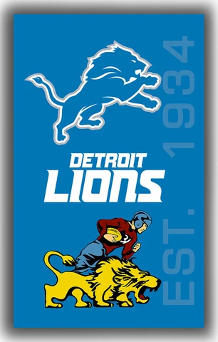 Detroit Lions Team Football Memorable Flag 90x150cm 3x5ft LIONS Fans best banner Cover