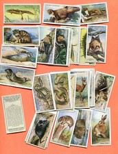 1939 JOHN PLAYER & SONS ANIMALS OF OUR COUNTRYSIDE 50 CARD SET