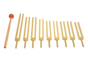 New GOLD 9 chakra Tuning fork including Earth Star + Mallet for Sound Therapy - Picture 1 of 4