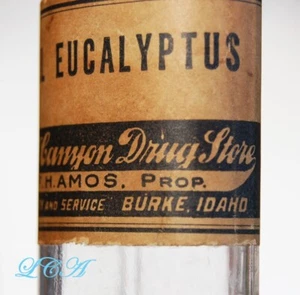 Antike BURKE IDAHO Flasche aus der CANYON DROGERIE volles Etikett F.H. AMOS Prop. - Bild 1 von 3