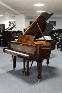 Steinway & Sons Flügel, M170, Wurzelholz, gebraucht, Bj. 1917 - Bild 1 von 12