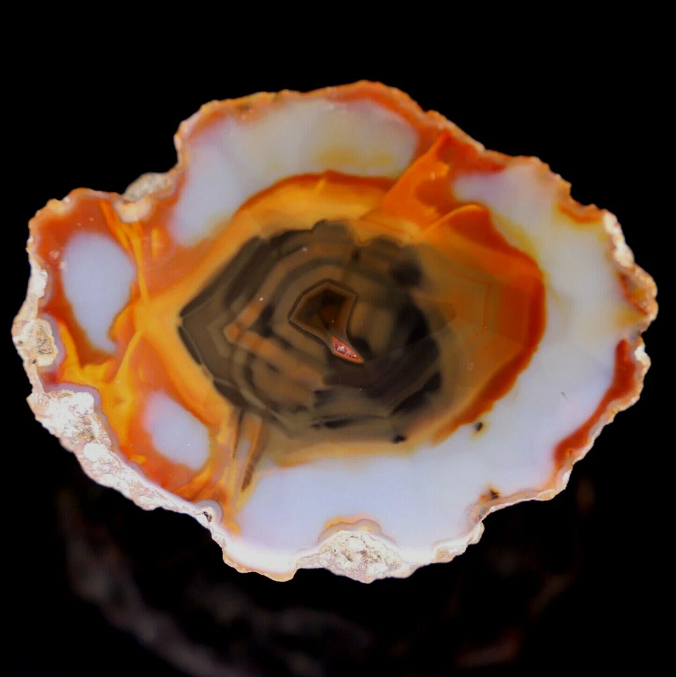 Condor Agate Collector From San Rafael Mendoza Argentina Condor071960