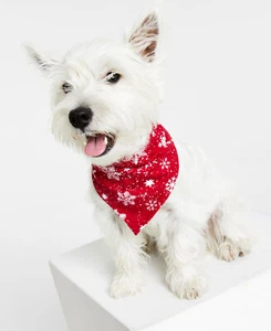 Famiglia PJ Animale Abbinato Allegro Fiocco di Neve Bandana Rosso Caramelle S/M - Foto 1 di 4