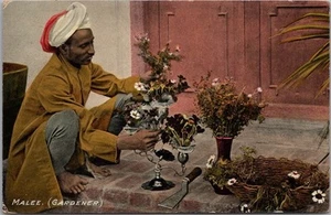 Postal vintage de la India de la década de 1910 "MALEE (jardinero)" Mooril Dhur & Sons Ambala SIN USAR - Imagen 1 de 2