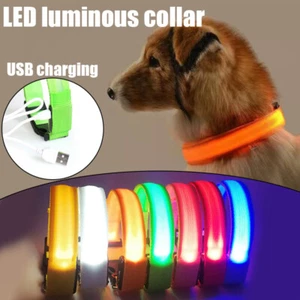 USB Wiederaufladbare LED Hund Aufleuchten Sicherheitshalsband Nacht Verstellba - Bild 1 von 18