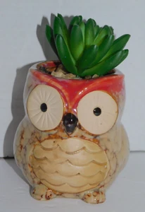 Artificial Succulent Plant in Owl Planter About 4 inch - Picture 1 of 7
