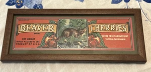 Vintage incorniciato castoro ciliegie etichetta Victor Fruit Inc California USA arte opaca - Foto 1 di 5