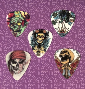 Skulls Collector's Guitar Pick - Lot of 5 - NEW- Free Shipping - #1 - Picture 1 of 1
