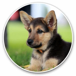 2 x Vinyl Stickers 20cm - German Shepherd Puppy Animals Pets Cool Gift #8646 - Afbeelding 1 van 9
