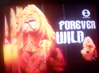 Used Vhs Rare Vh1 Forever Wild Show Sebastian Bach Host  Skid Row