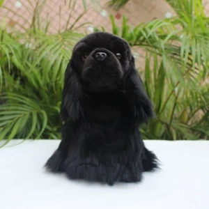 cute plush Cocker spaniel toy black Snipe hunting dog doll kids' gift about27cm - Picture 1 of 6