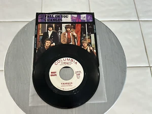 1967 MOBY GRAPE DJ 45 Fall On You/Changes w/Pic Sleeve COLUMBIA 44170 Excellent - Picture 1 of 12
