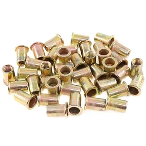100Pcs M8 Rivet Nuts Metric Zinc Plated Rivet Nut Carbon Steel Rivet Nut Flat... - Picture 1 of 7