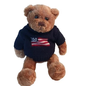 Maglione vintage Gund America's Teddy Bear Theodore con bandiera americana 15071 TAG - Foto 1 di 8