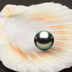 Single Freshwater Pearl AAAA Graded Peacock Pearls for Pendants Earrings Rings - Picture 1 of 7