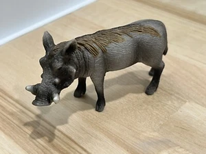 Schleich Warzenschwein Wildschwein männlich Erwachsene Rentner Figur 14611 - Bild 1 von 3