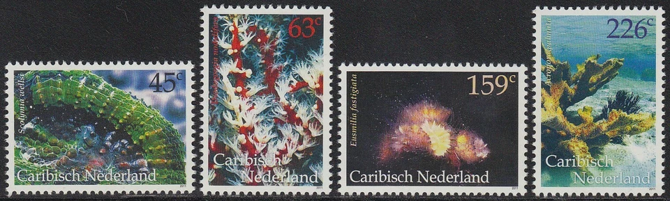 Corales Caribe Países Bajos Edición 2011 (12-15) Foto 1 de 1