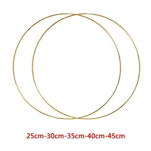 Large Metal Hoops Wreath Flower Garland Dream Catcher Hoop Ring Wall Hanging - Picture 1 of 42