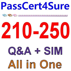 Preguntas y respuestas sobre los fundamentos de ciberseguridad de Cisco 210-250 - Imagen 1 de 1