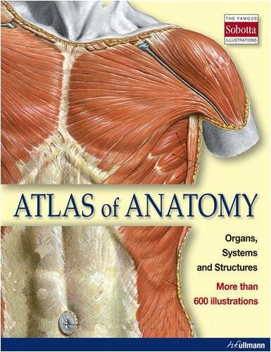SOBOTTA ATLAS OF HUMAN ANATOMY,New  - Bild 1 von 1