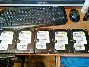 5 Western Digital WD1200SD-01KCB0 120GB SATA 3.5 Hard Drives QUANTITY 5 USED - Picture 1 of 12