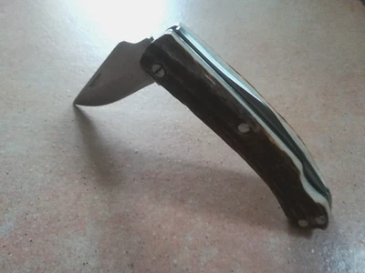 Freizeitmesser mit Hirschhorn-Griffschalen - Bild 1 von 4