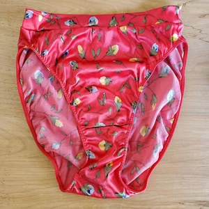 RARE Vintage Victoria Secret Second Skin Satin Hi Cut BRIEF RED FLORAL SISSY S - Picture 1 of 4