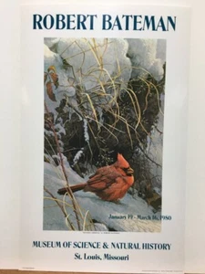 Robert Bateman Winter Cardinal St Louis Mo 1980 Art Museum Poster - Picture 1 of 1