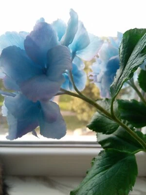 Arreglo floral hortensias decoración del hogar hecho a mano porcelana fría Foto 1 de 4