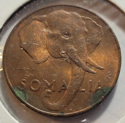 Somalia - Coin - 10 Centesimi 1950 Rome - Elephant - RARE - Image 1 of 2