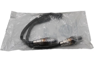 27719-07 NUEVO OEM 2007-2017 HARLEY-DAVIDSON O2 SENSORES DE OXÍGENO SPORTSTER TOURING Foto 1 de 4