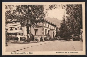 Bad Freienwalde, Promenade am Brunnenhotel, Ansichtskarte - Picture 1 of 2