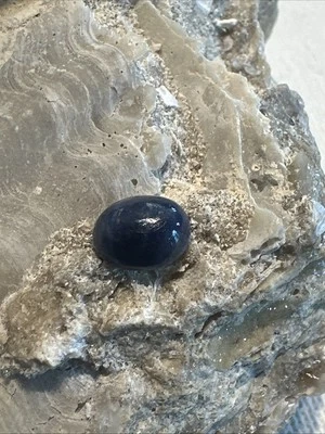 Canadian Blue Sapphire High Dome Cabochon Eye Of Odin Deposit Bluejay Mine #003 — 第 1/4 张图片