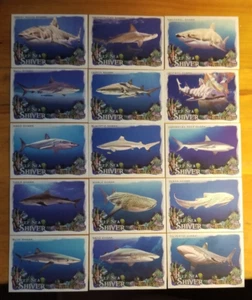 Juego completo de insertos Topps Allen and Ginter Deep Sea Shiver 2021 (15) tiburones - Imagen 1 de 1