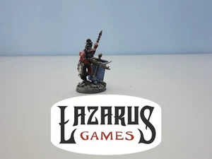 Warhammer 40k Drukhari Dark Eldar - Wych Conversion (painted)  - Picture 1 of 4