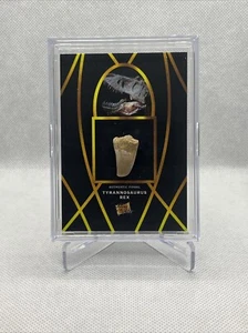 2022 Pieces of the Past Tyrannosaurus Rex Zahn Fossil Reliquie #10 - Bild 1 von 3