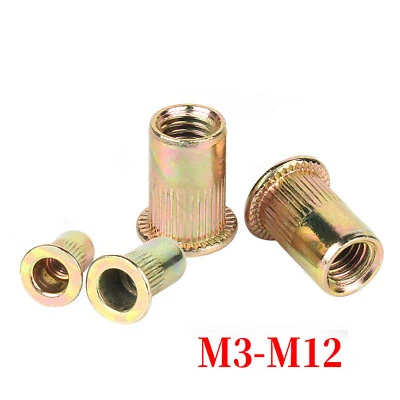 Blindnietmuttern Flachkopf verzinkt Einnietmuttern Nietmutter M3M4M5M6M8M10M12 - Bild 1 von 4