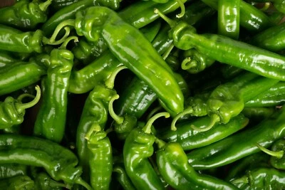 50 Graines de Poivron Corne de Bœuf - légumes jardins - semences paysannes - Photo 1/3