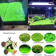 5/10g Aquarium Plant Seeds Aquatic Hairy Grass Carpet Water Grass Fish Tank CA